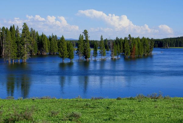 Весна лес озеро