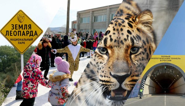 Земля леопарда национальный парк