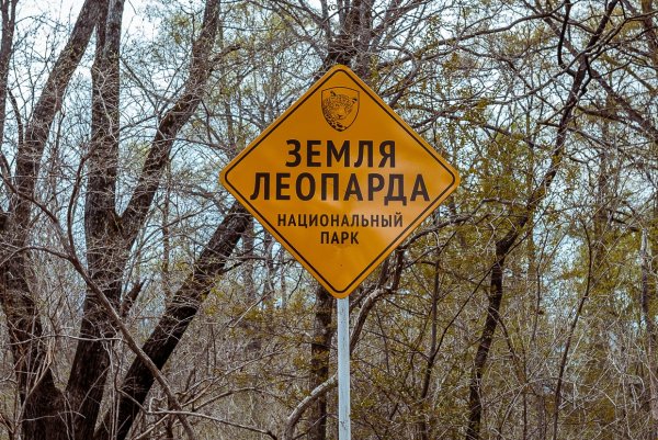Земля леопарда национальный парк