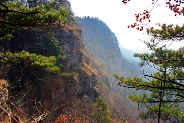 Кедровая Падь заповедник