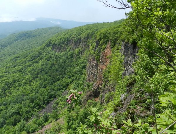 Земля леопарда Приморский край