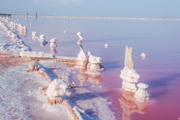 Сасык-Сиваш Евпатория