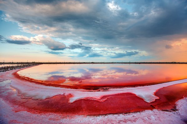 Озеро Сасык Сиваш Евпатория
