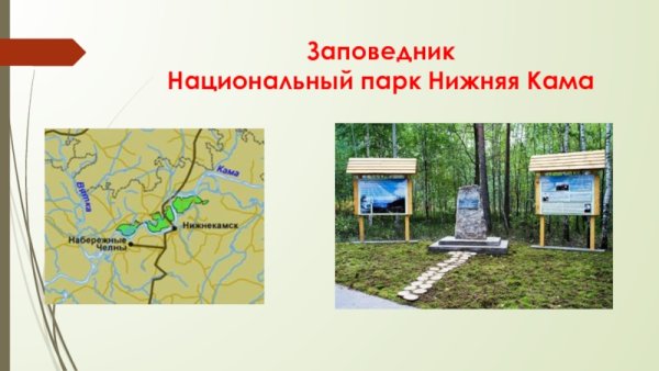 Заповедник нижняя Кама