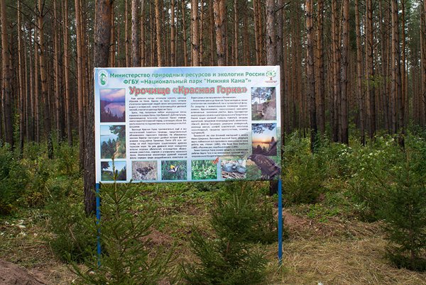 Парк нижняя Кама Набережные Челны
