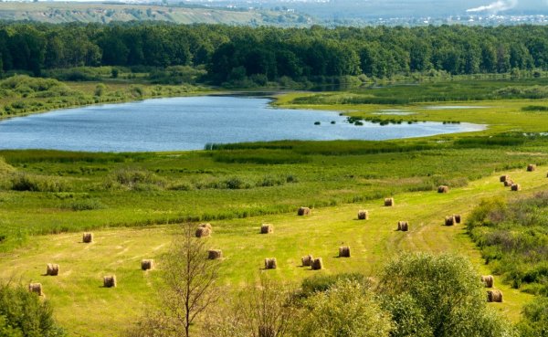 Нац парк нижняя Кама Елабуга