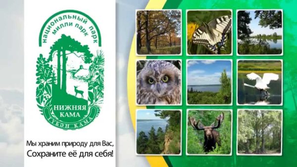 Национальный парк нижняя Кама фауна