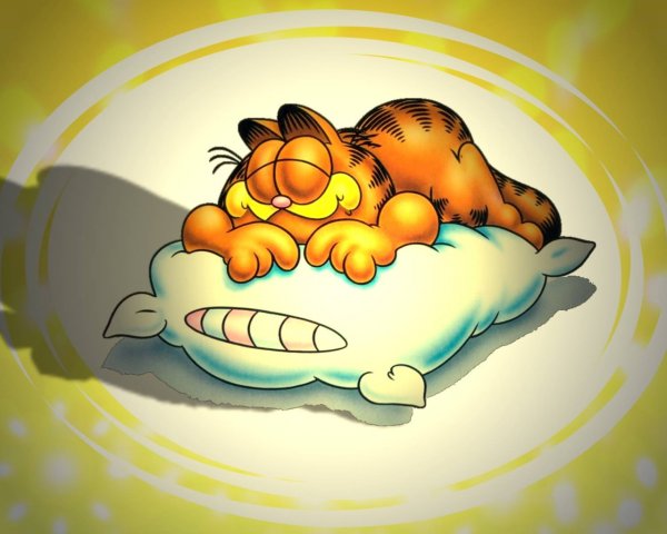 Мультяшка спит