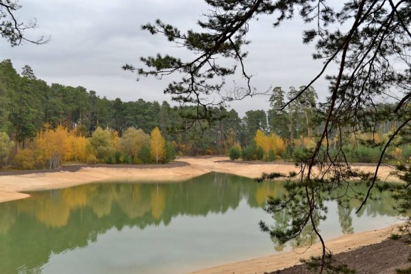 Лебяжье озеро Казань