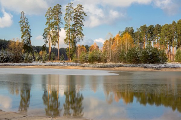 Лебяжье озеро верхняя Пышма