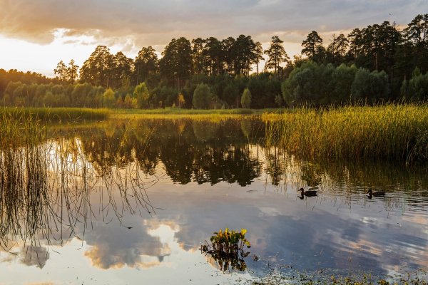 Озеро Лебяжье Томск