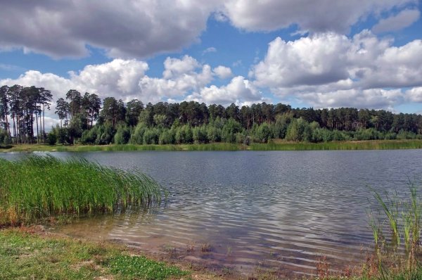 Лебяжье озеро Казань