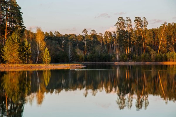 Лебяжье Казань