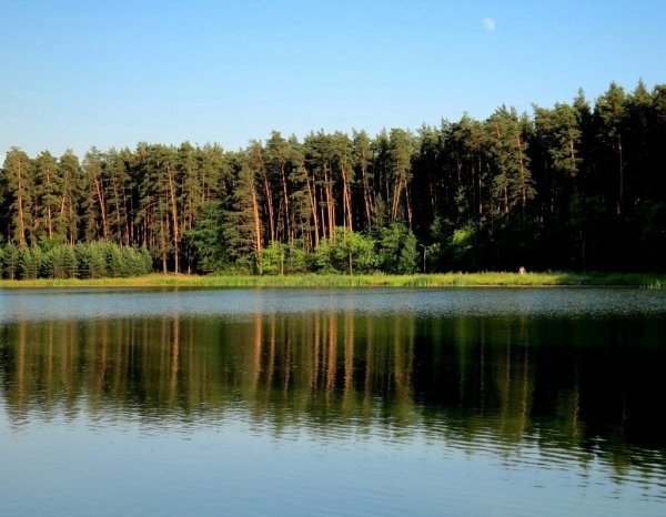 Лебяжье озеро Казань