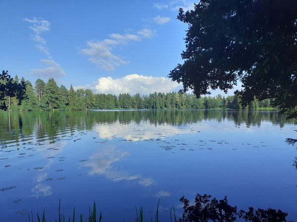 Озеро Лебяжье Ленинградская область