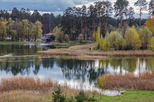 Лесопарк Лебяжье Казань