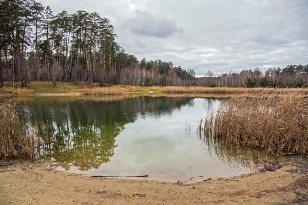 Лебяжьи озера Татарстан