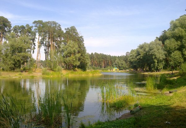 Лесопарк Лебяжье Казань