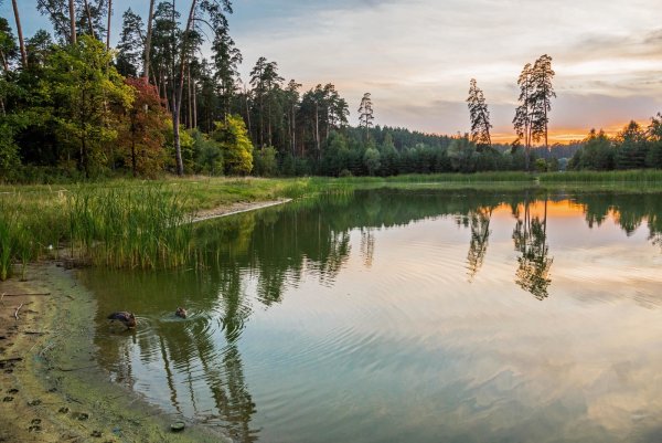 Лебяжье озеро Казань светлое озеро
