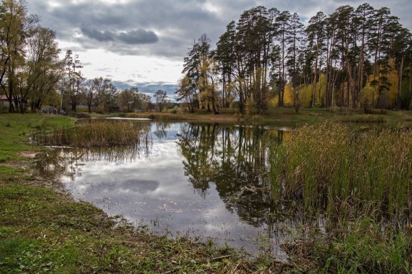 Лебяжьи озера Татарстан
