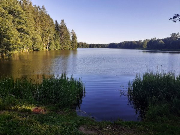 Озеро Лебяжье Ленинградская область