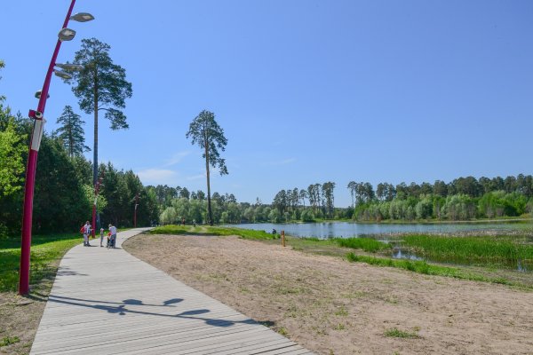 Лесопарк Лебяжье Казань
