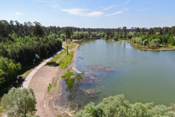 Лебяжье озеро Казань парк