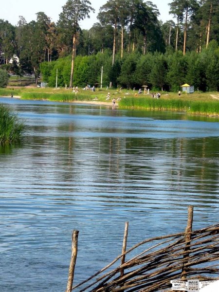 Лесопарк Лебяжье Казань