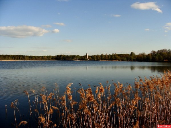 Озеро Лебяжье Ленинградская