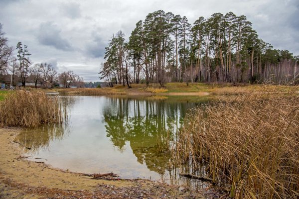 Лебяжьи озера Татарстан