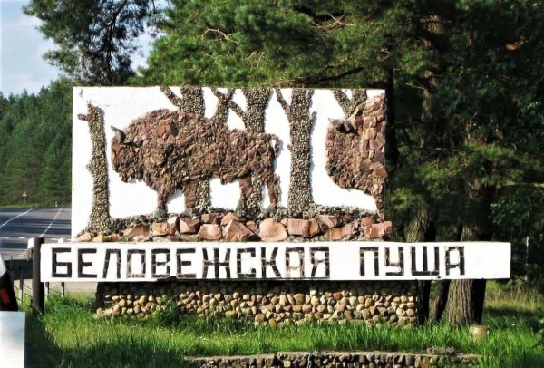 Национальный парк Беловежская пуща Беларусь