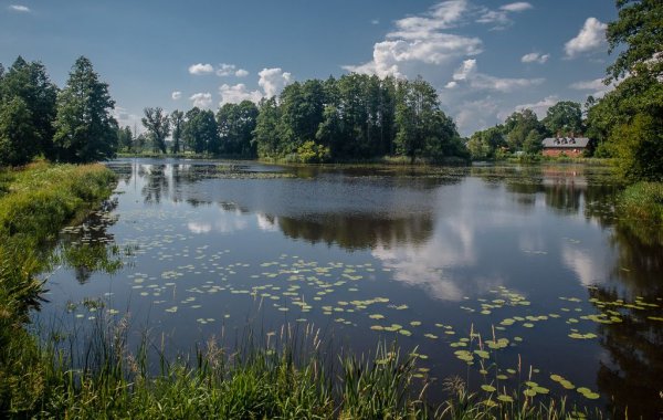 Беловежская пуща
