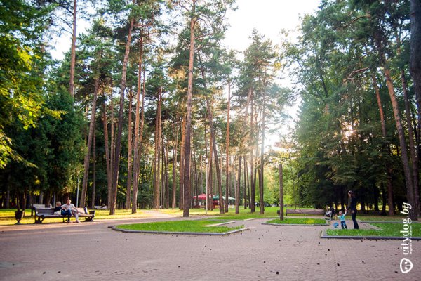 Парк Челюскинцев Минск достопримечательности Минска