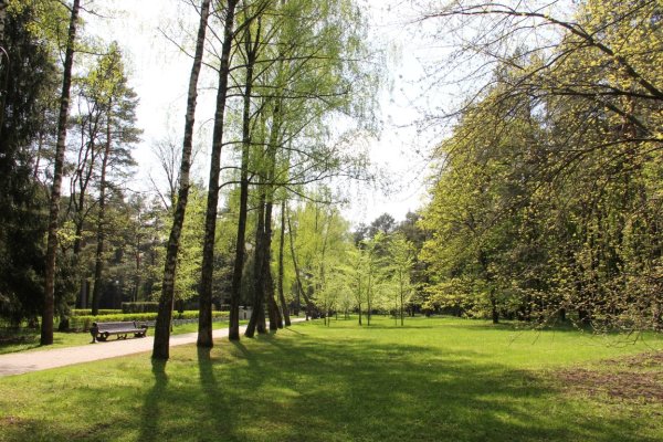 Сквер Челюскинцев Челябинск