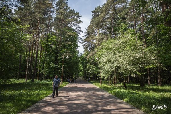 Осень в парке Челюскинцев