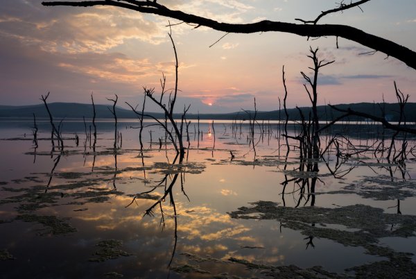 Озеро Тамбукан Пятигорск