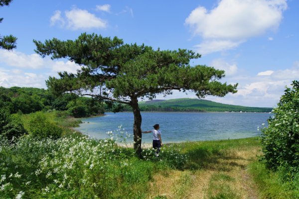 Озеро Тамбукан Ставропольского края