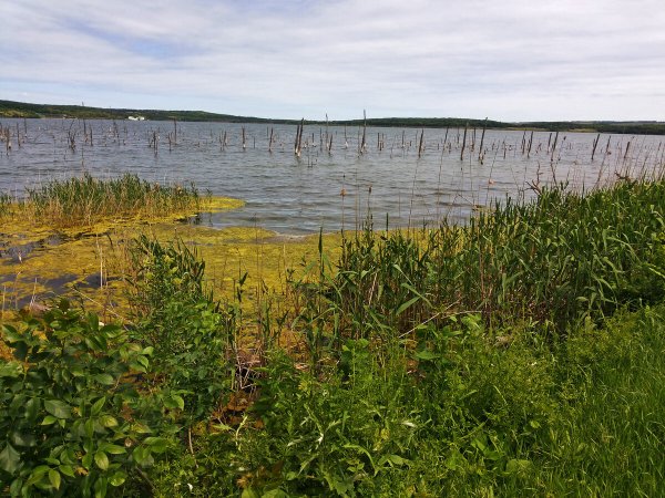 Зольский район озеро Тамбукан