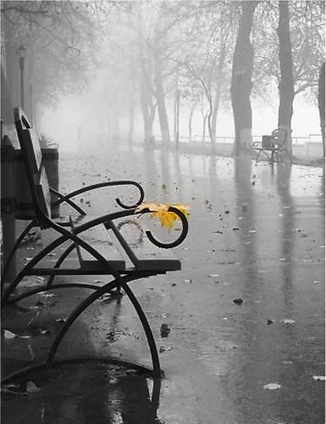 Осень серость