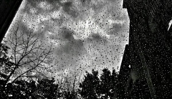 Серый дождь