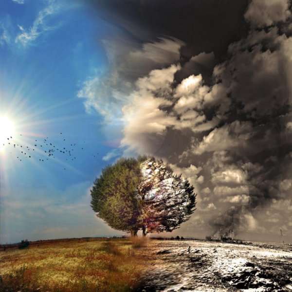 Противостояние природа