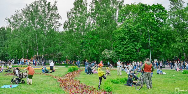 Усадьба Люблино парк лето