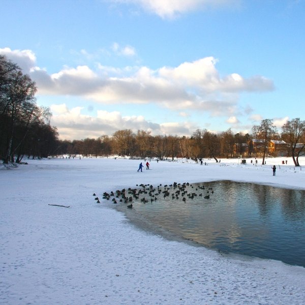 Парк Кузьминки зима 2021