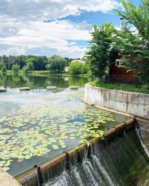 Парк Кузьминки