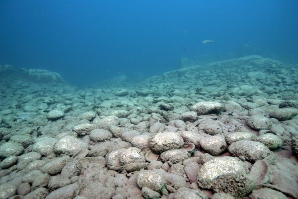 Озеро Танганьика