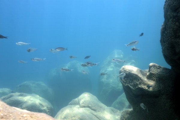 Озеро Танганьика