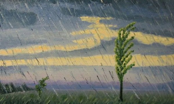 Ненастный день в поле