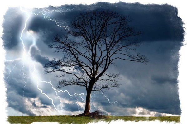 Молния в дерево
