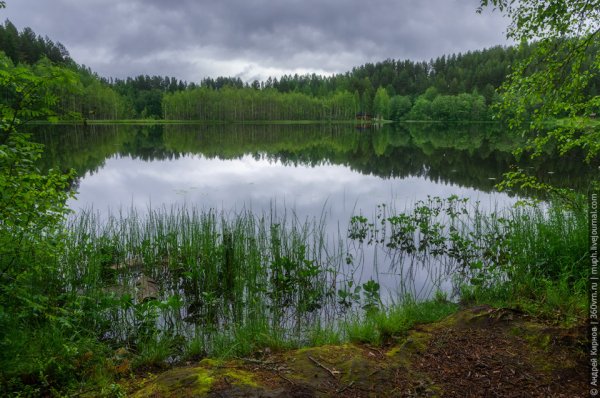 Кенозерский национальный парк озера в д Масельга