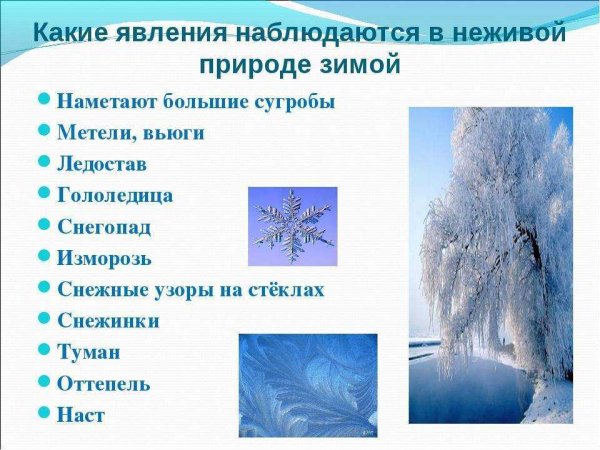 Зимни е явления в Нежевой природе